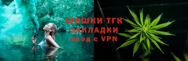 гидропоника Алзамай