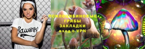 прущий лед Алексин