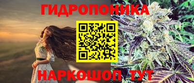 дмт Кандалакша