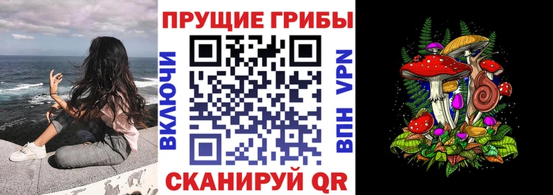 как найти наркотики  Ишим  блэк спрут ссылка  Галлюциногенные грибы мицелий 