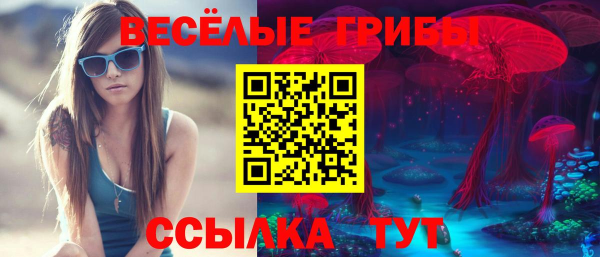 Ишим  Псилоцибиновые грибы мицелий  Вход с VPN 