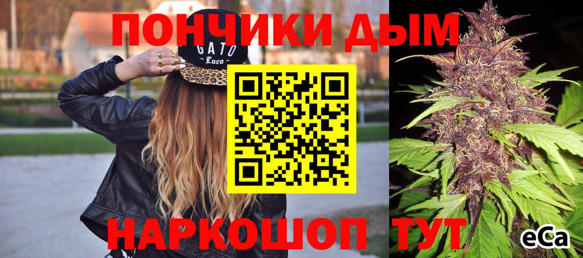 Бошки марихуана гибрид  Вход с VPN  Каннабис семена  МАРИХУАНА индика  Каннабис план  Ишим 
